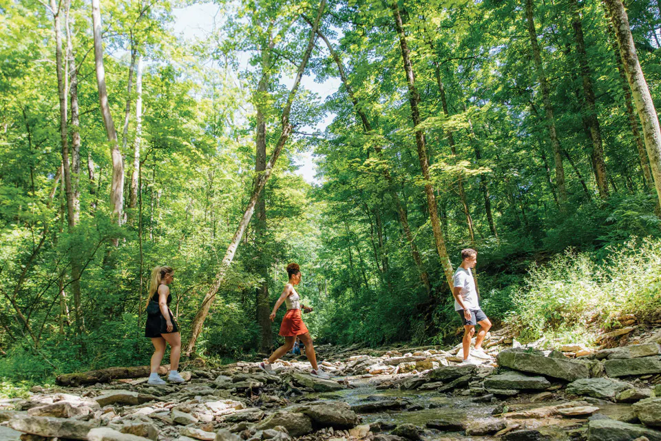 People walking at Rentschler Forest Metro Park in Hamilton (photo courtesy of Travel Butler County)
