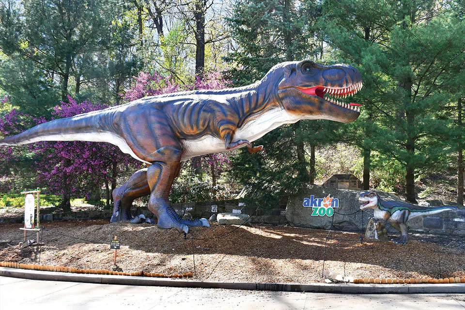 Dinosaur animatronic at Akron Zoo (photo courtesy of Akron Zoo)