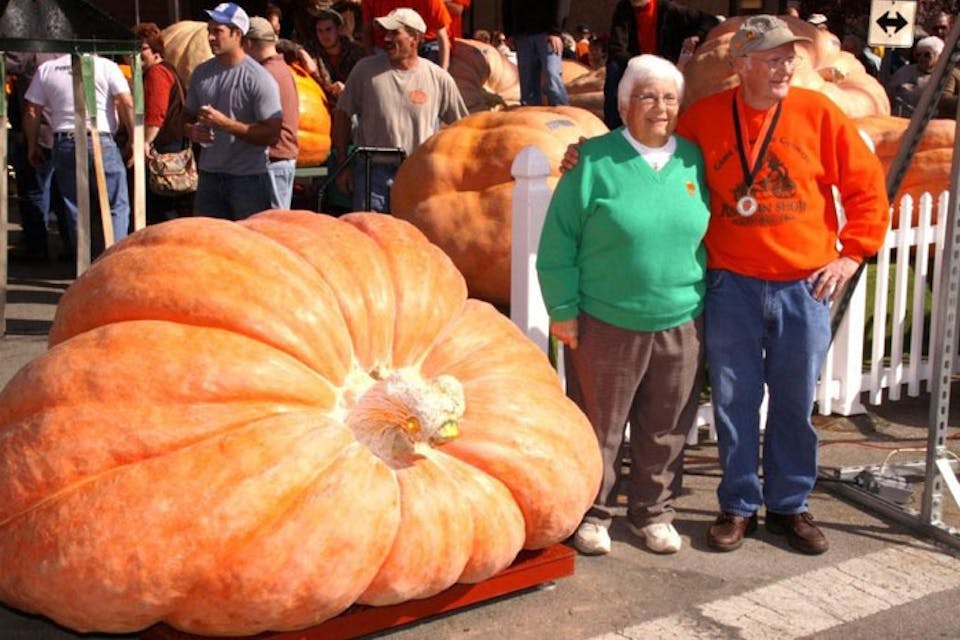 CirclevillePumpkin18 CirclevillePumpkin18
