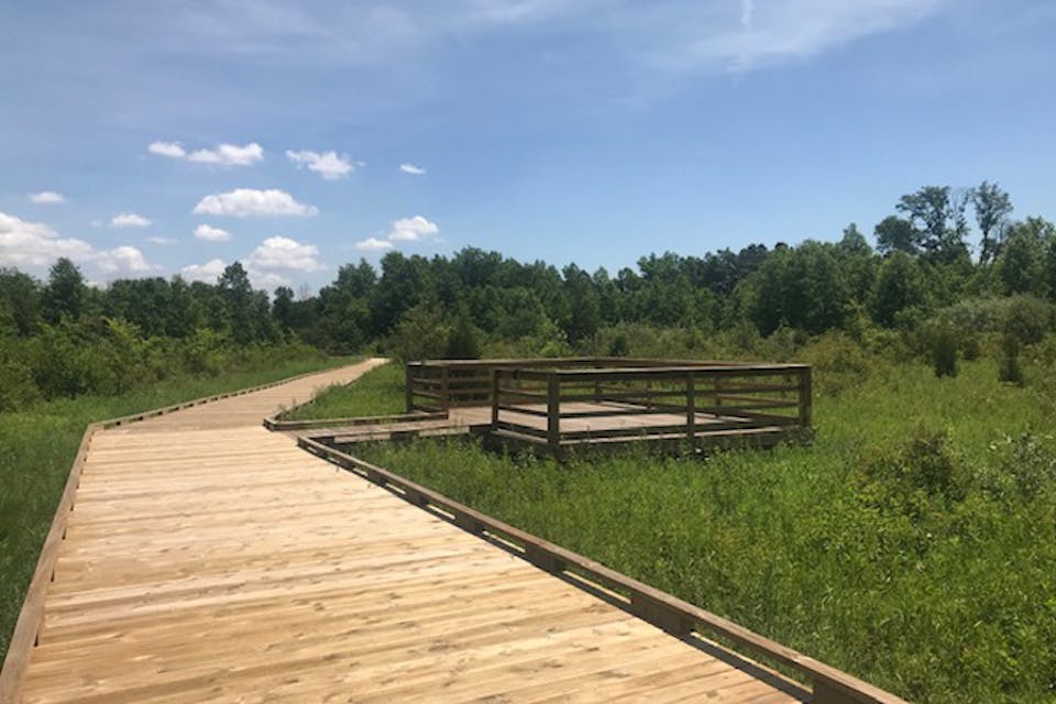 DefianceNatureTrail DefianceNatureTrail