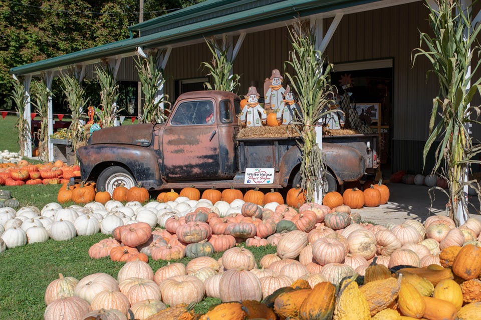 Fall Harvest Weekends at White House Fruit Farm