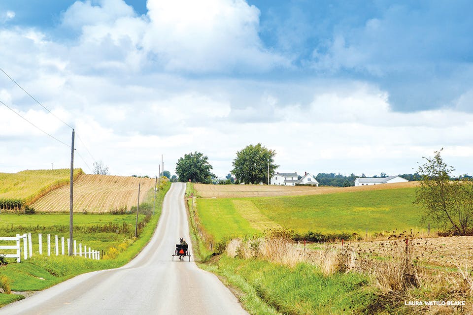 Amish Country road with buggy